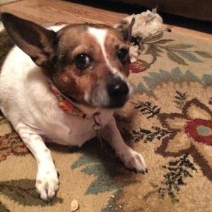 Meet your Posher, Tommy